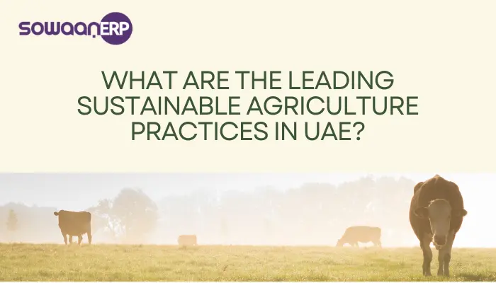 What Are the Leading Sustainable Agriculture Practices in UAE?